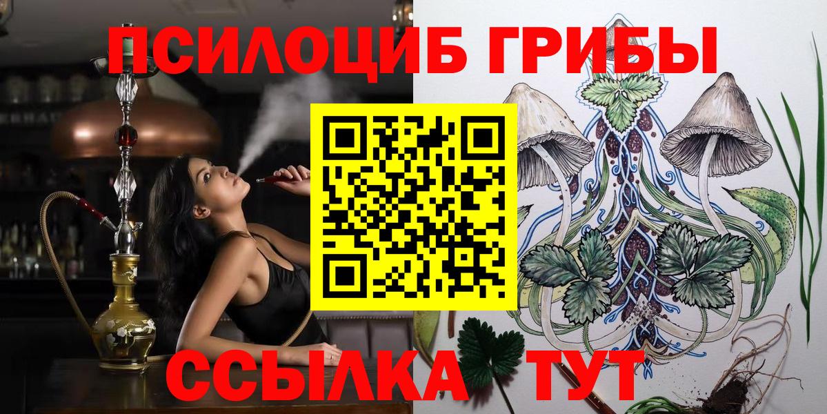 Псилоцибиновые грибы Psilocybine cubensis Унеча