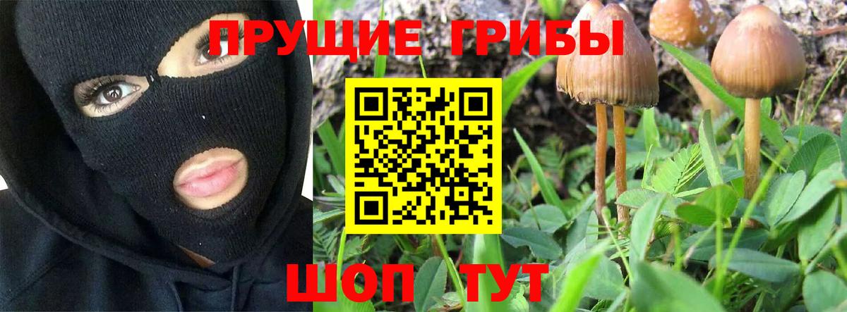Псилоцибиновые грибы Psilocybine cubensis  Вход с VPN  Псилоцибиновые грибы MAGIC MUSHROOMS  Унеча 